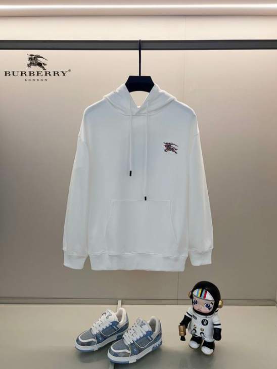 Picture of Burberry Hoodies _SKUBurberryXS-L24cr301898